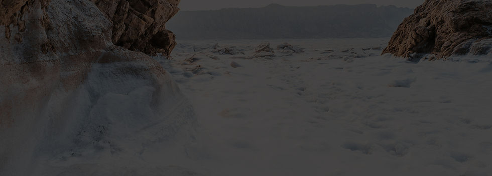 yiranding-yOWUAKYk46Y-unsplash%2520copy_