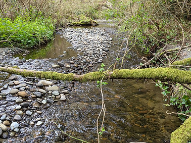 North Creek 1.jpg