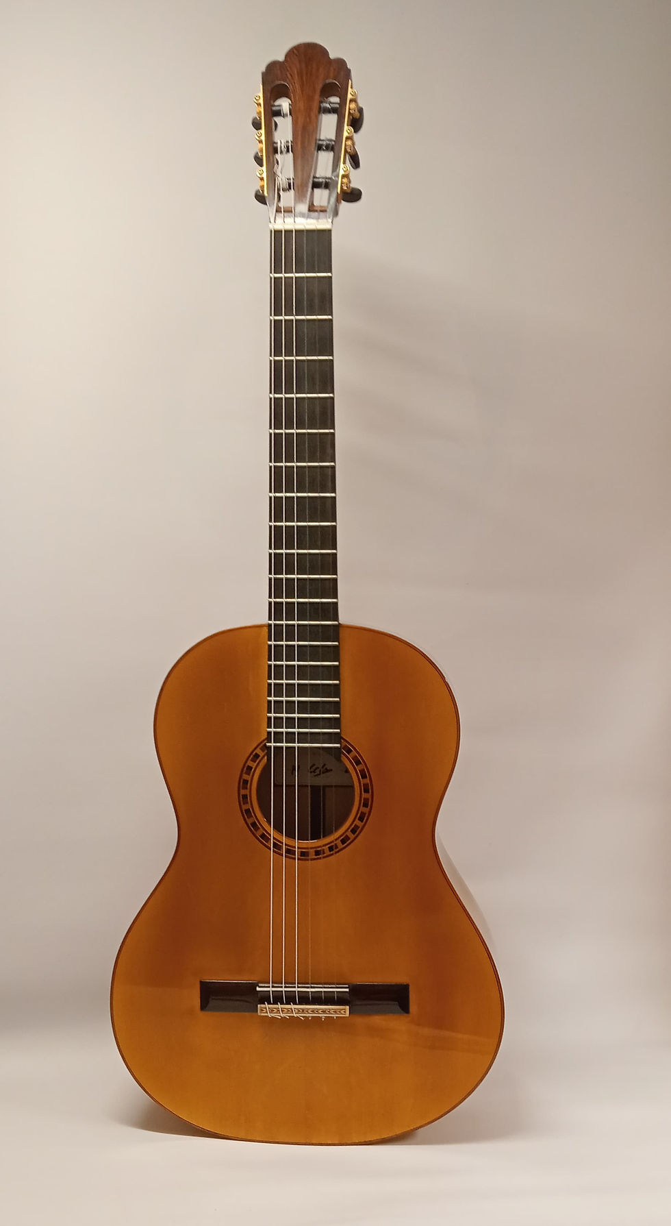 Classic/Flamenco Guitar