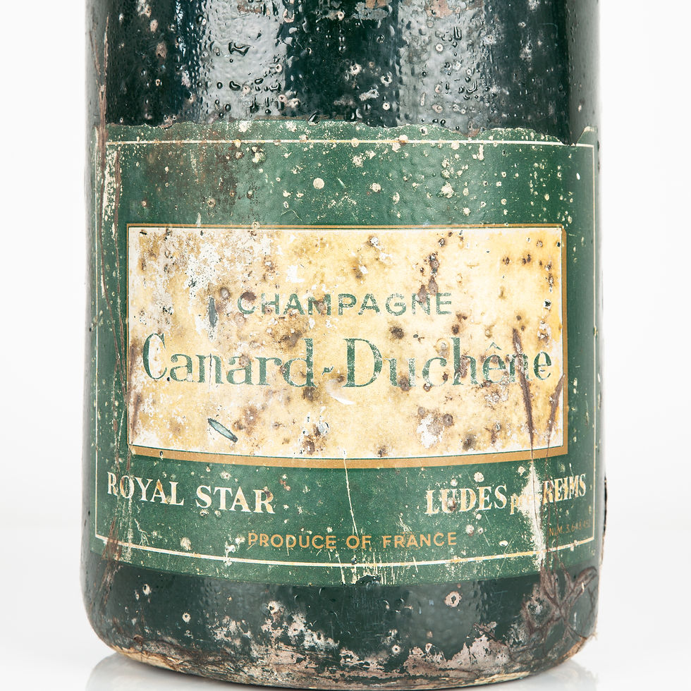 Thumbnail: GIANT 'DUMMY' / SHOP DISPLAY CHAMPAGNE BOTTLE
