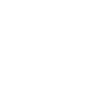 icons8-compliance-100.png