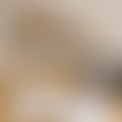 Professional Design Documentation Checklist