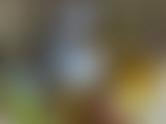 Helping Families Walk Again, One Step at a Time