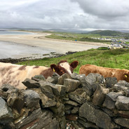 Portnoo Beach, Co. Donegal, Ireland