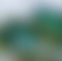 Planning your next Adventure Holiday - Why the Azores Should Be Your Next Adventure Holiday Destination