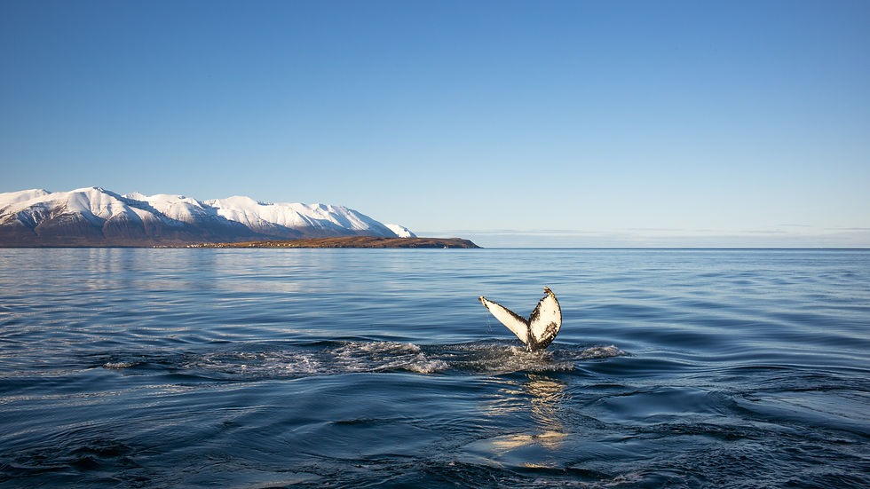 Iceland