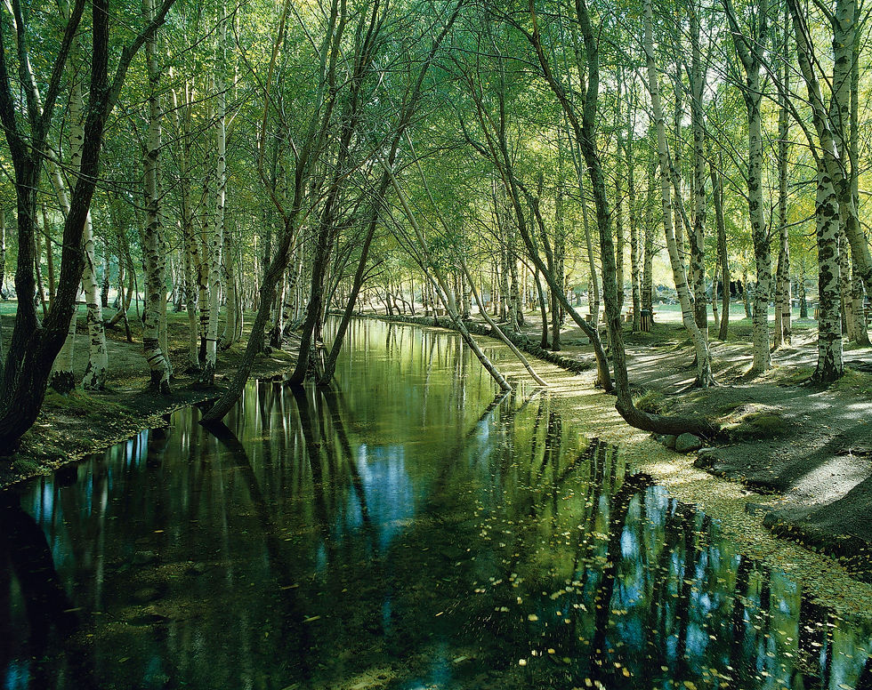 Serra da Estrela Nature Park, Portugal, The Small Adventure Company - Adventure and Family Holidays in Europe