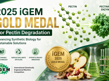 2025 iGEM Gold Medal – Pectin Degradation Project