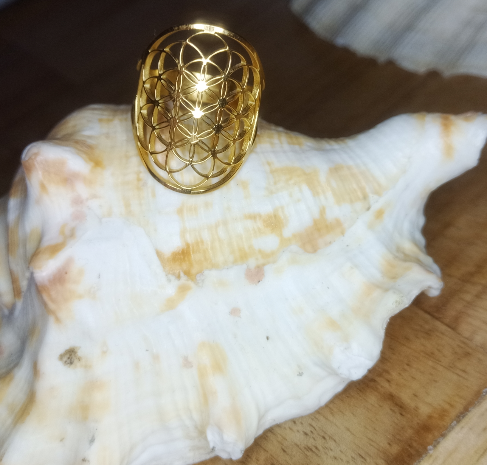 Lebensblume Ring Schutz und Harmonie