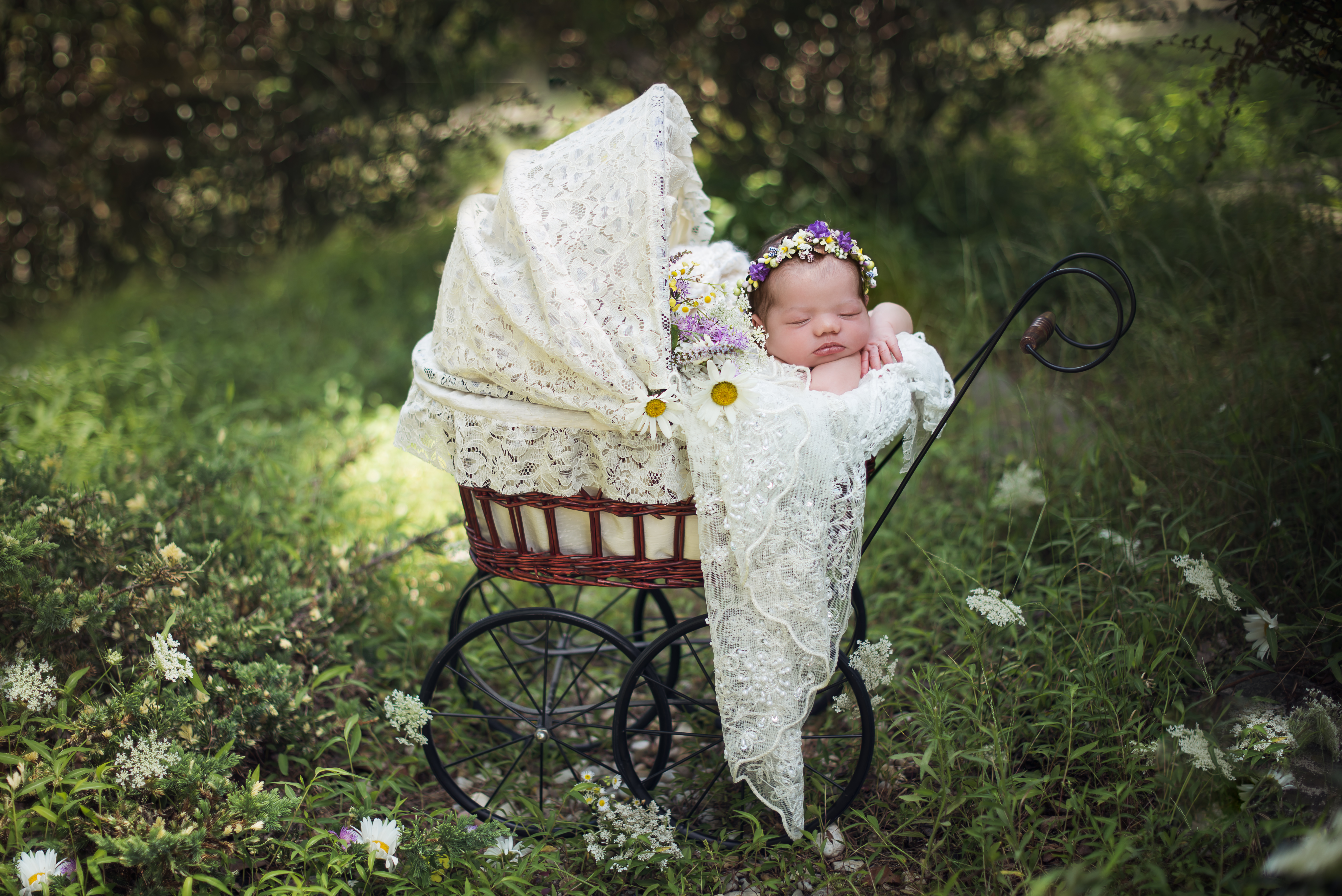 outdoor newborn baby session