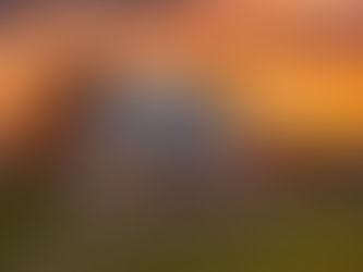 Social media a job in it self!