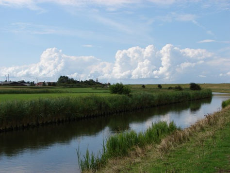 Meegaan met de stroom van het leven