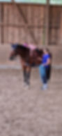 20240922_104246.jpg