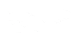 上恆