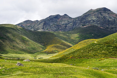 Picos de Europa