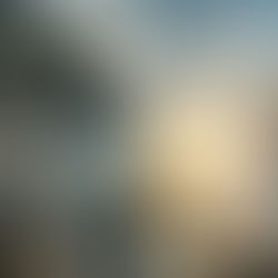 Adapt or disappear : pourquoi les marques doivent changer sans se perdre