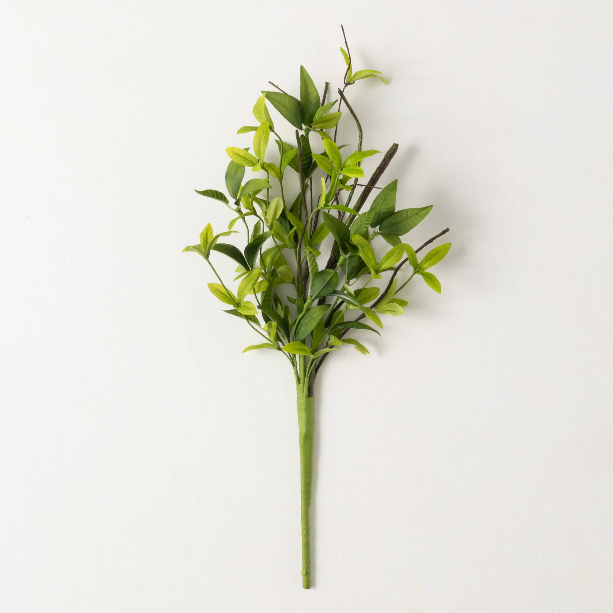 PICK RUSCUS TWIG