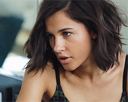 iris cariamae gif.gif