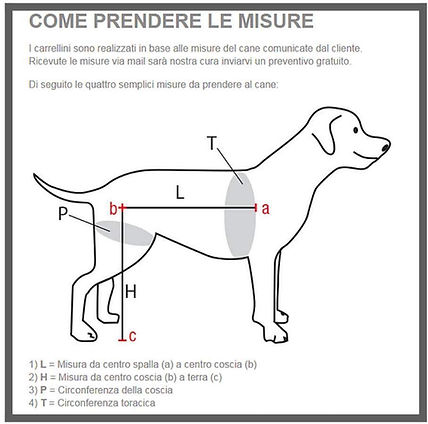 IMG-20210704-WA0004 (1).jpg