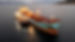 Imagen1-3-scaled.jpg