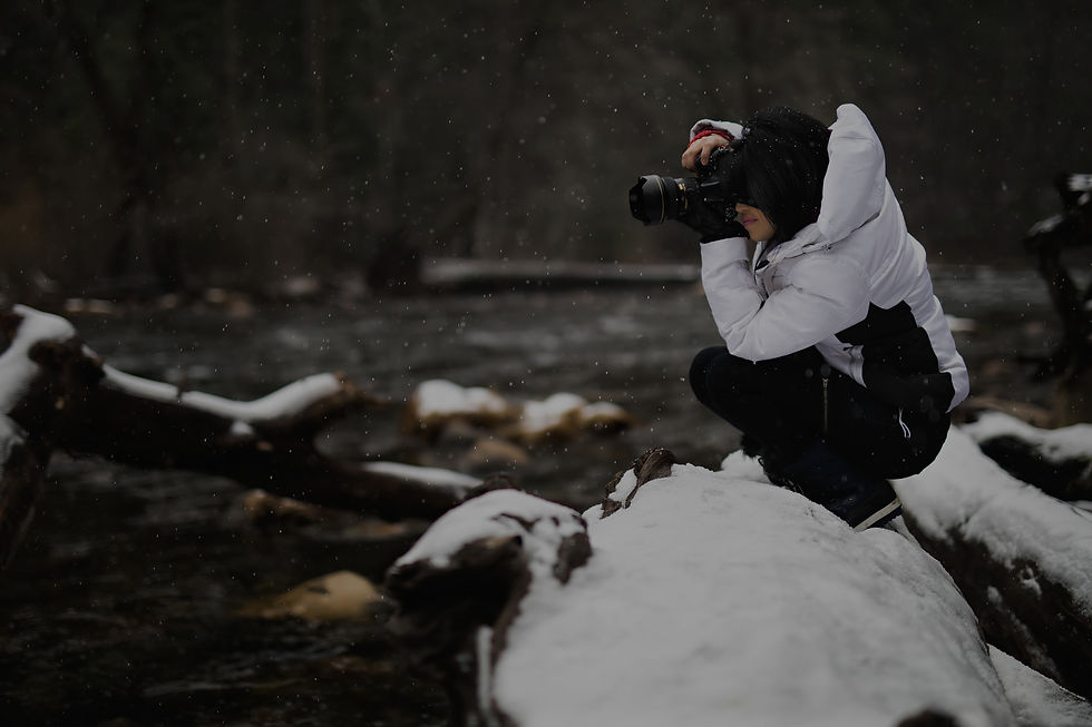 Snow Photographer