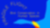 Fragile Flight: Bird Conservation in Human Spaces
