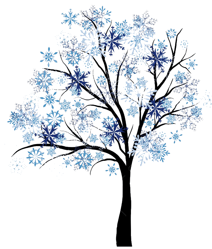 5Winter EX.gif