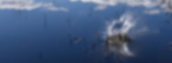 OOO_0099.jpeg