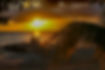 Sunset Honeymoon romance.jpg