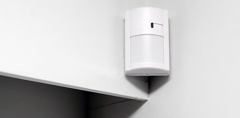 Paradox Motion Detector