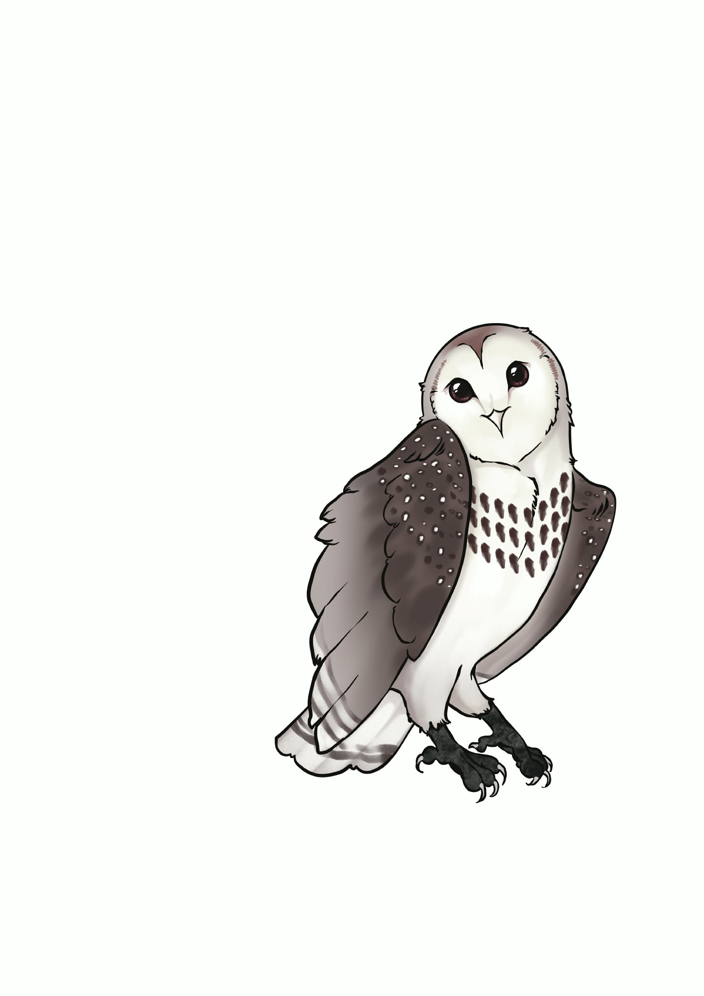 Writer: Owl