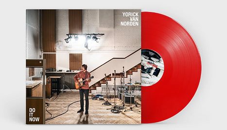 Yorick Van Norden - Do It Now