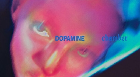 Fontaines D.c. - Dopamine chamber (LP)