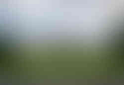 The Reunification Palace is the base where the Vietnam War ended. It is also called Independence Palace.