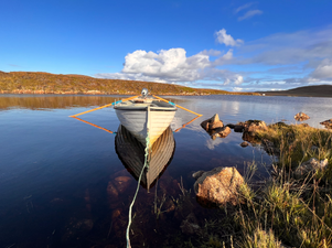 Calm reflections