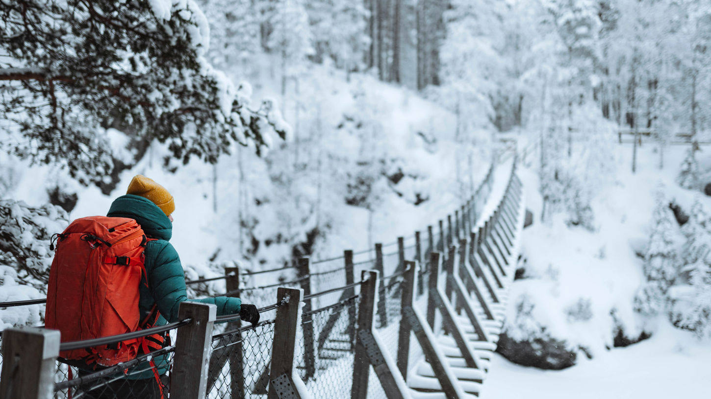 桥上的女人 Lapland.jpeg
