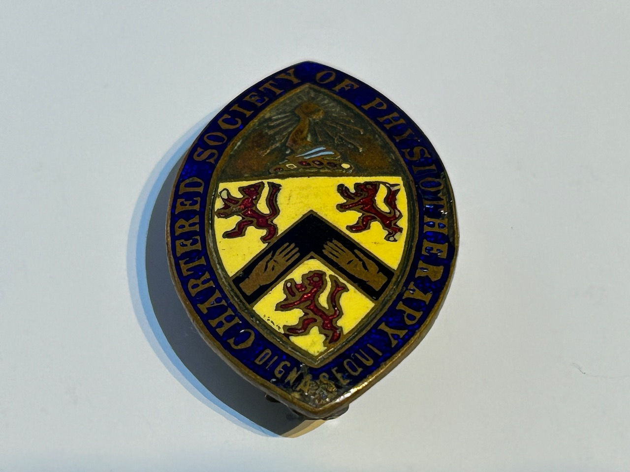 c1940s Chartered Society Of Physiotherapy Enamel Badge