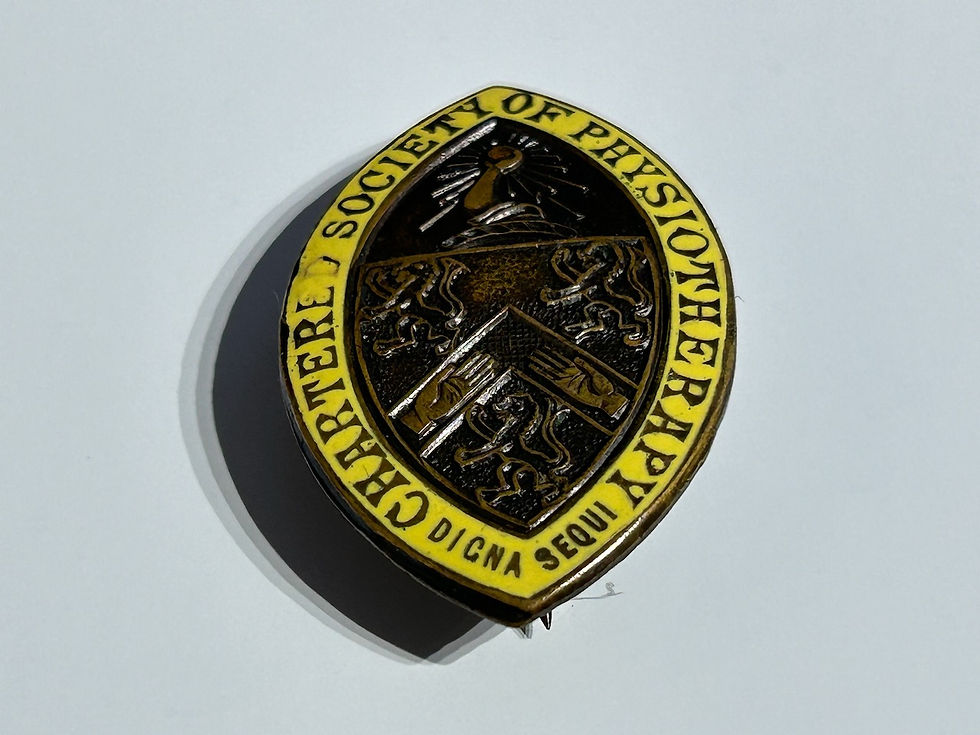 Vintage Chartered Society Of Physiotherapy Enamel Badge