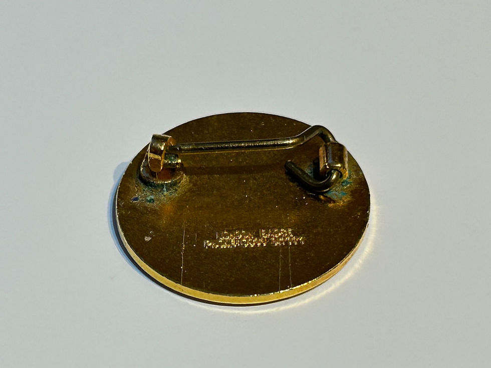 Sheffield Wednesday F.C. 1983-84 Promotion Enamel Badge Back