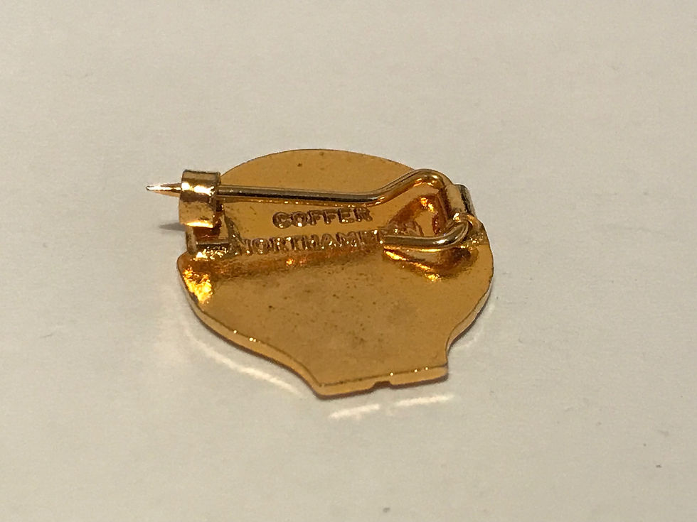 Rare Win With (Aston) Villa Enamel Badge Back