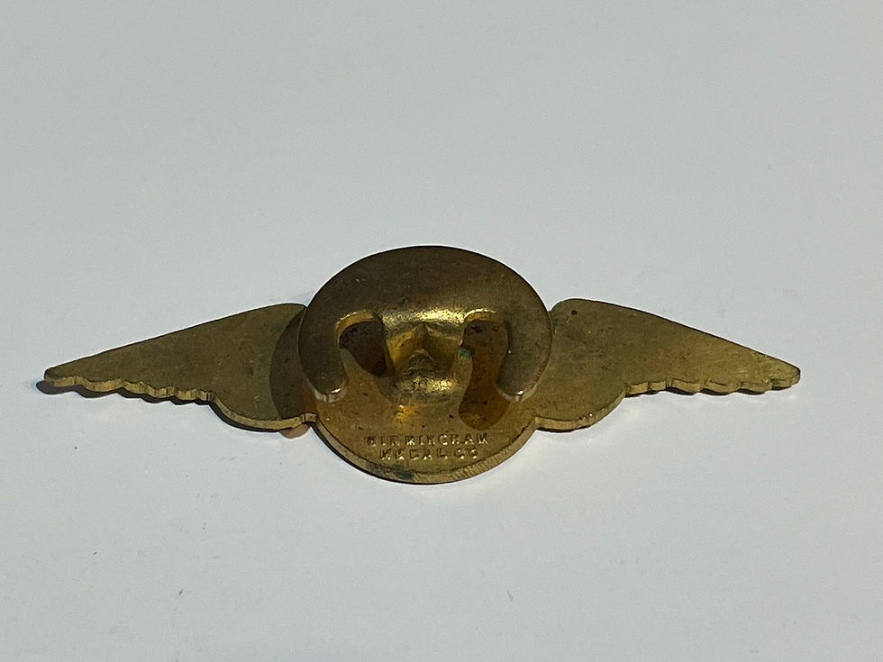 Thumbnail: Vintage Northamptonshire Aero Club Enamel Wings Badge Back