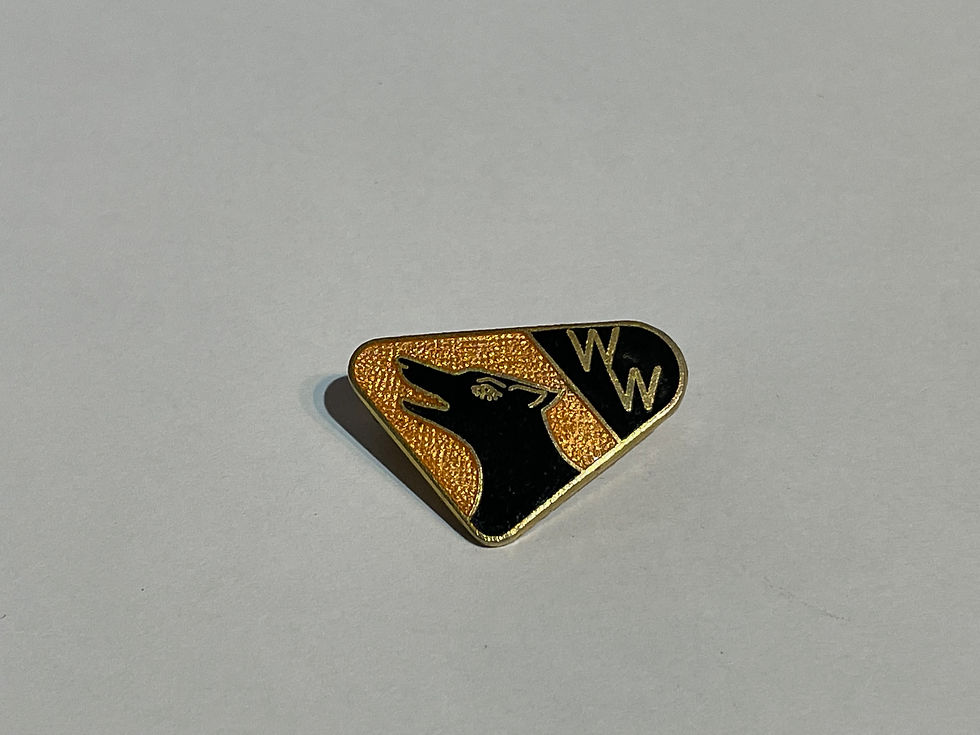Vintage Wolverhampton Wanderers Enamel Badge by Coffer