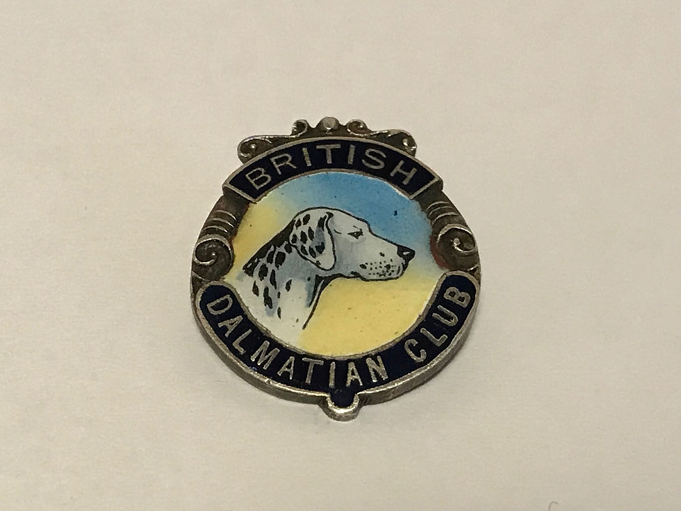Rare Vintage British Dalmatian Club Enamel Badge Front
