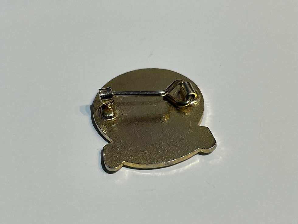 Vintage 40 Plus Cycling Club Enamel Badge Back