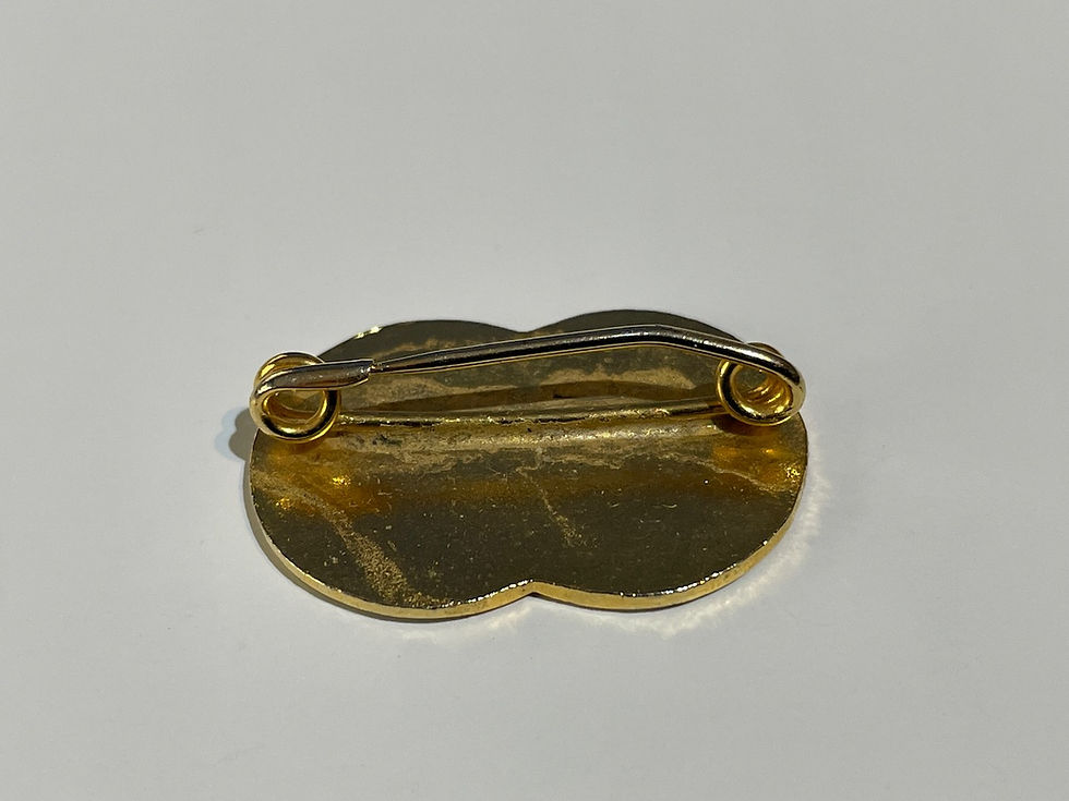 Brighton & Hove Albion Football Club Enamel Badge Back