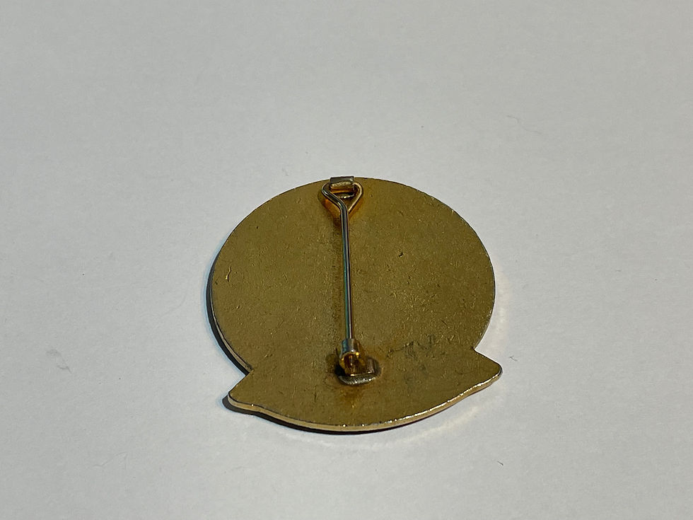 Thumbnail: 1992 St Andrew's Ambulance Association Centenary Enamel Badge Back