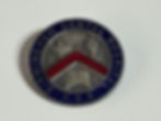 Vintage Birmingham Dental Hospital D.S.A. Enamel Badge