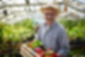 Campesino.jpg