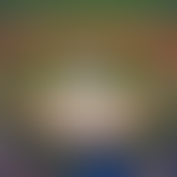 Spanish Springs Cougars Softball and Baseball Preview