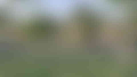Vraj Vanastha Farm Houses